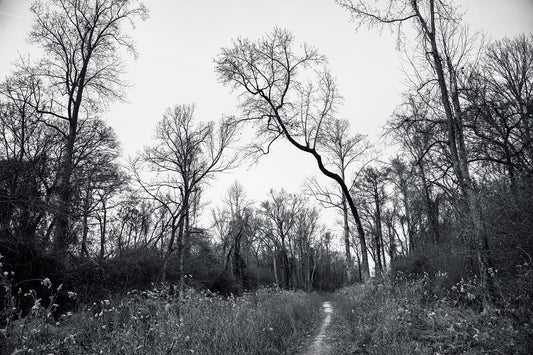 Path Under Witness