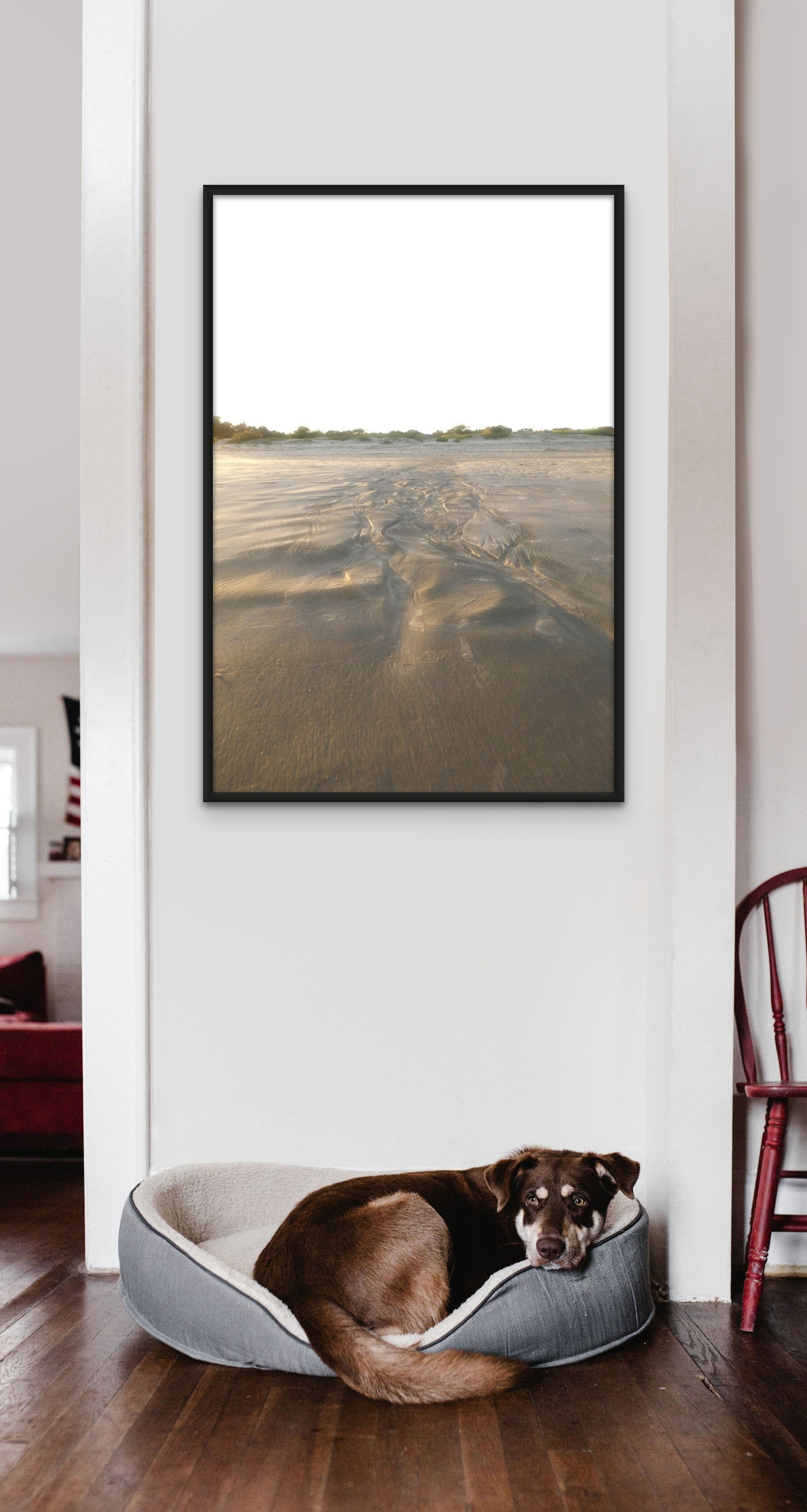 Wind Swept Sand on Sullivan's Island